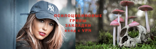 гидра Абинск