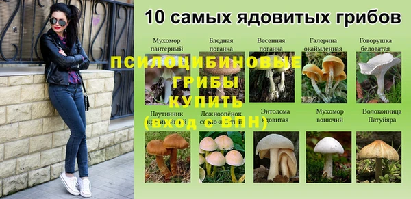 прущие крисы Абаза