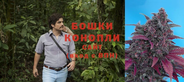 прущие крисы Абаза
