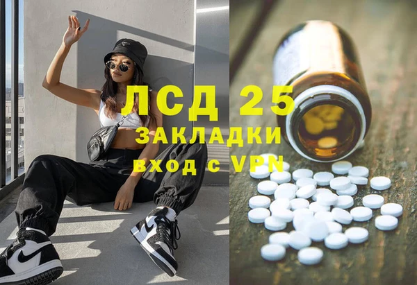 хмурый Мегион