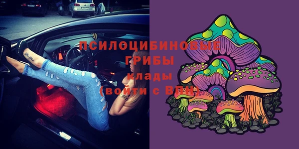 гидра Абинск