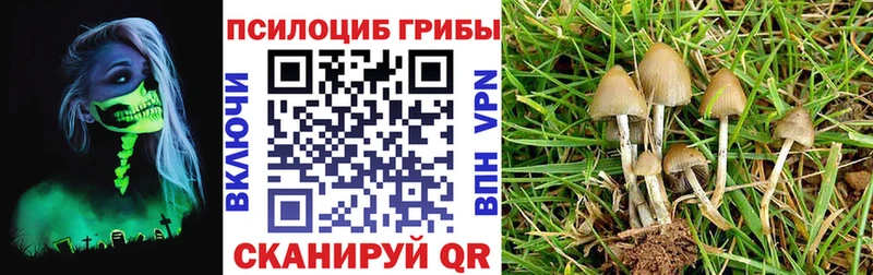 Псилоцибиновые грибы Psilocybine cubensis  продажа наркотиков  Фокино 